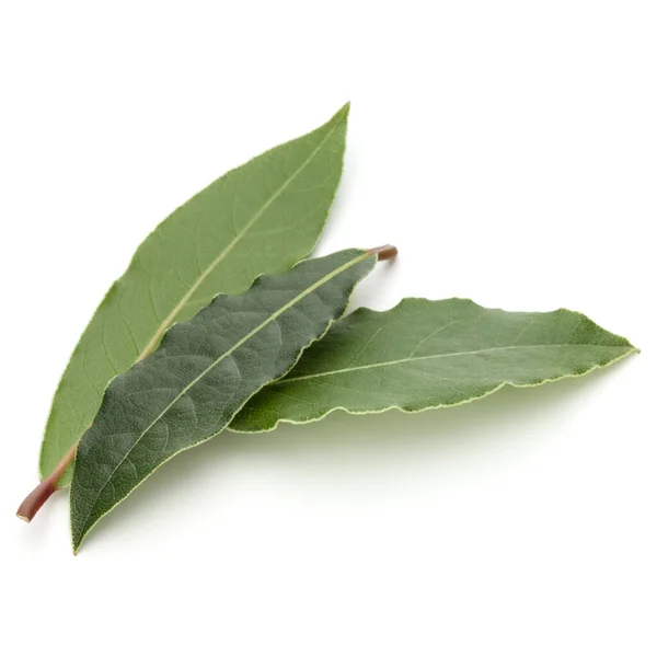 Aromatic Bay Leaves Isolated White Background Cutout — Stock Photo, Image