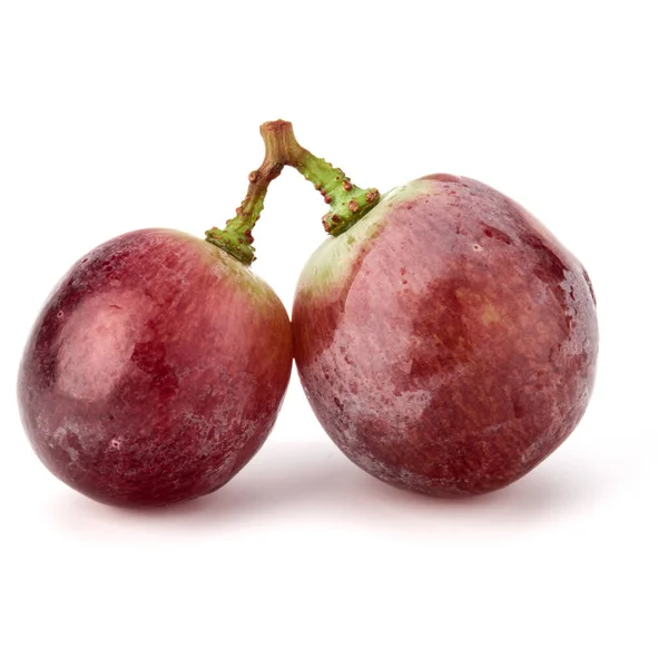 Rode Druiven Bessen Bos Geïsoleerd Een Witte Achtergrond Knipsel — Stockfoto