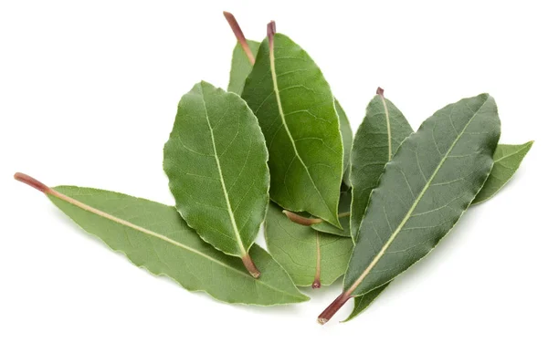 Hojas Laurel Aromáticas Aisladas Sobre Fondo Blanco Recorte —  Fotos de Stock