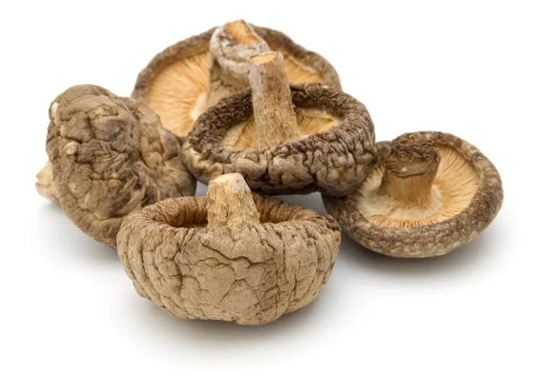 Gedroogde Shiitake Paddestoelen Geïsoleerd Witte Achtergrond — Stockfoto