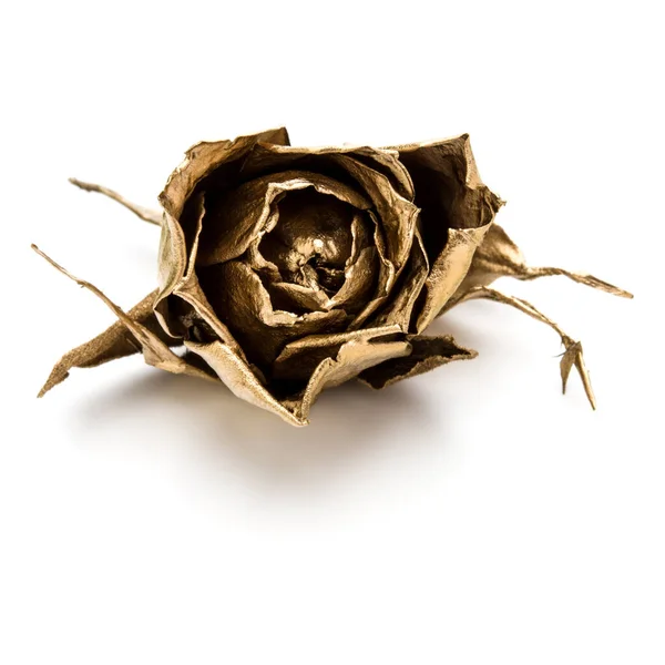 Una Rosa Dorada Aislada Sobre Fondo Blanco Recortado Cabeza Flor —  Fotos de Stock