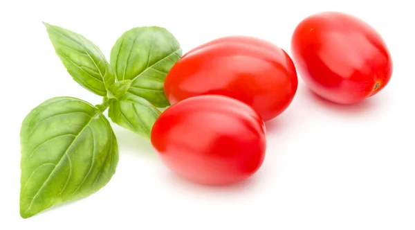 Świeży Pomidor Śliwkowy Bazylią Liść Białym Tle — Zdjęcie stockowe