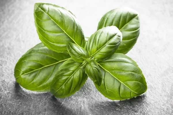 Sweet Basil Leaves Black Stone Background Top View — Stock Photo, Image