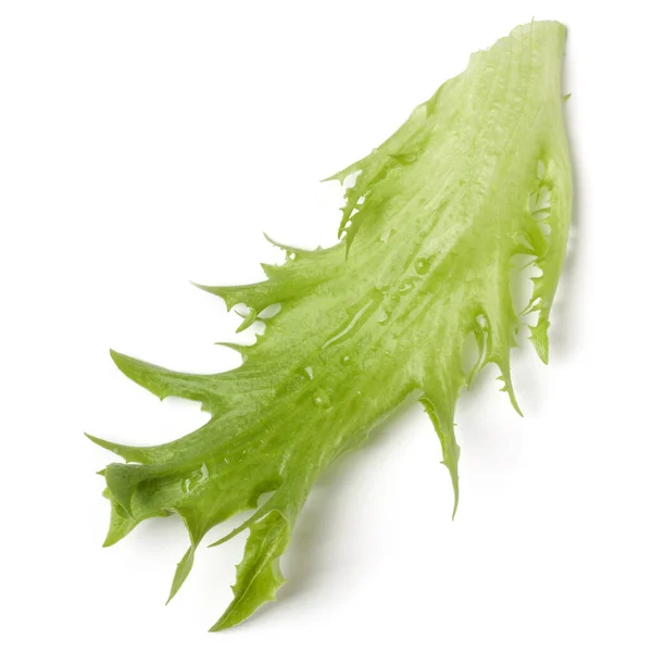 Frillice Fresca Salada Folha Iceberg Isolado Fundo Branco Vista Superior — Fotografia de Stock