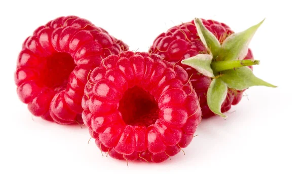 Three Ripe Raspberries Isolated White Background Close Stock Picture