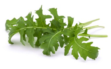 Taze rucola yaprakları yeşil beyaz arka plan üzerinde izole stüdyo çekim kapatın. Roket salata veya roka.