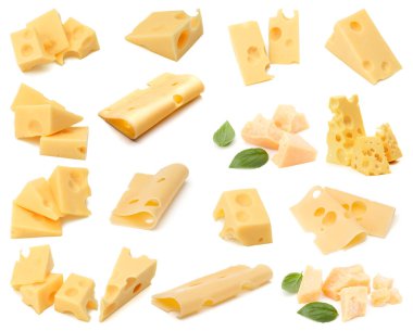 Peynir koleksiyonu beyaz arka plan üzerinde izole. Farklı peynirseti..