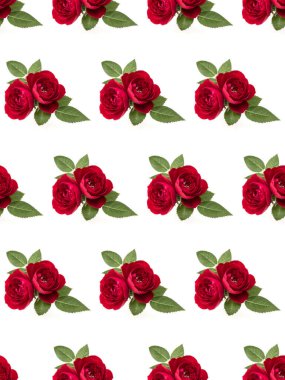 beyaz arka plan kesim yaprakları ile izole iki kırmızı gül çiçekleri. Çiçek dikişsiz desen.