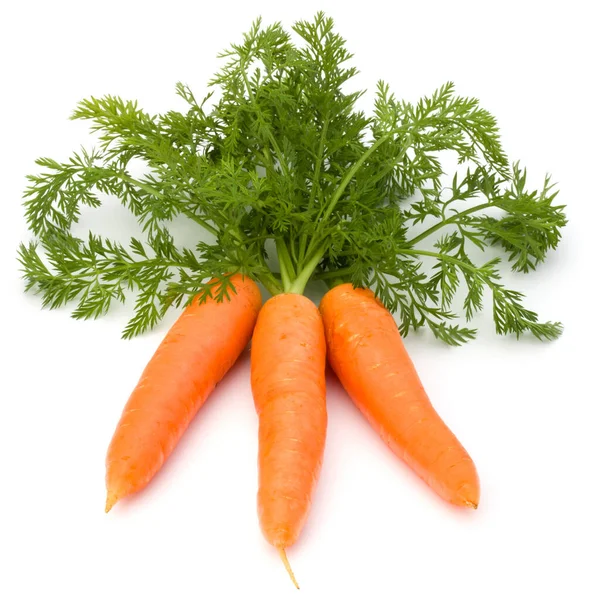 Λαχανικό Καρότο Φύλλα Που Απομονώνονται Λευκό Φόντο — Φωτογραφία Αρχείου