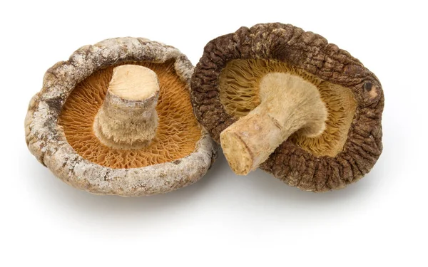 Gedroogde Shiitake Paddestoelen Geïsoleerd Witte Achtergrond — Stockfoto