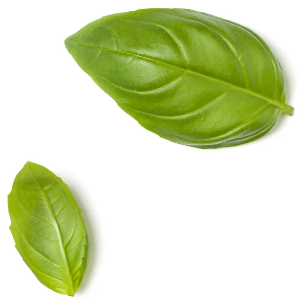 Sweet Basil Herb Leaves Isolated White Background Closeup Flat Lay — Stock Photo, Image
