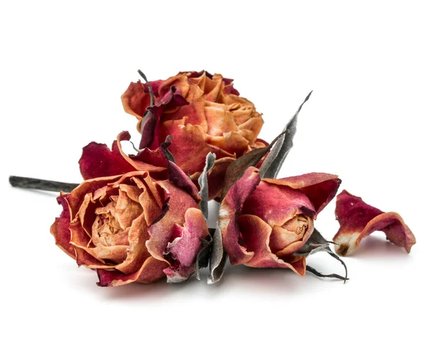 Сушена Троянда Квіткова Голова Ізольована Білому Тлі Вирізання — стокове фото