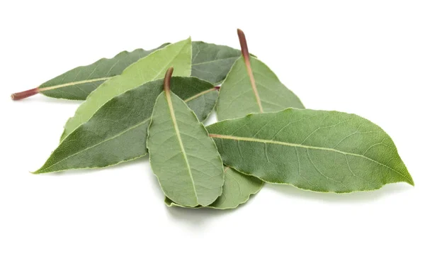 Hojas Laurel Aromáticas Aisladas Sobre Fondo Blanco Recorte —  Fotos de Stock