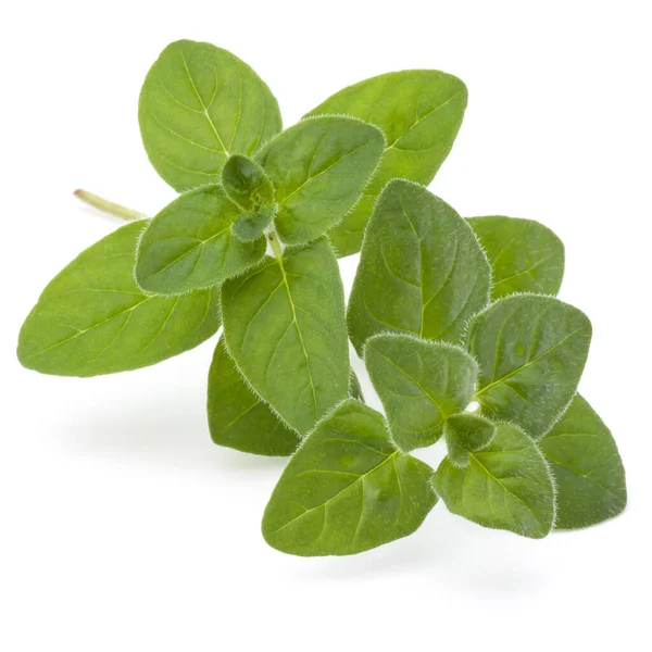 Oregano Marjoram Leaves Isolated White Background Cutout — Stock Photo, Image