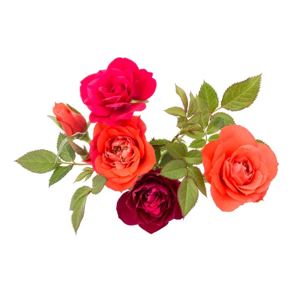 Ramo Flores Color Rosa Con Hojas Verdes Aisladas Recorte Fondo — Foto de Stock