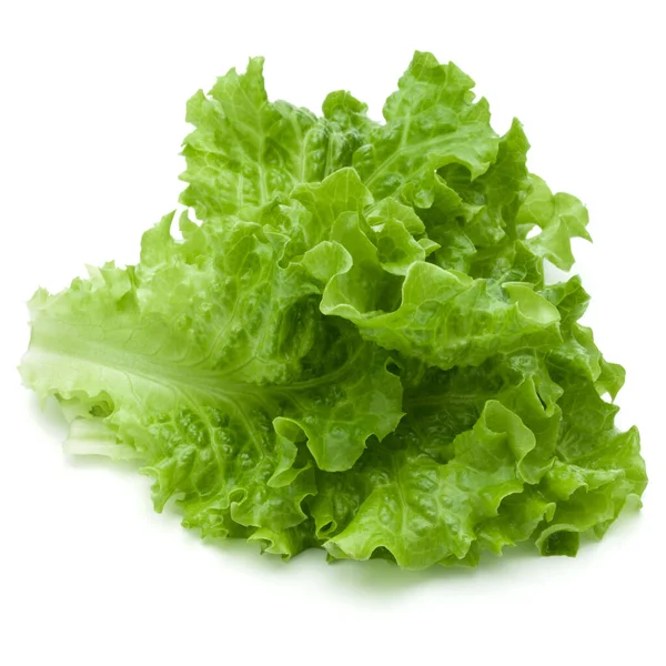 Verse Groene Sla Salade Bladeren Geïsoleerd Witte Achtergrond — Stockfoto