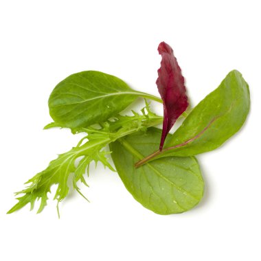 Farklı salatalar beyaz arka planda bir avuç dolusu soyutlanmış bırakır. Üst manzara, düz uzanma.