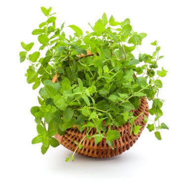 Beyaz arka planda izole edilmiş taze naneli hasır sepeti.