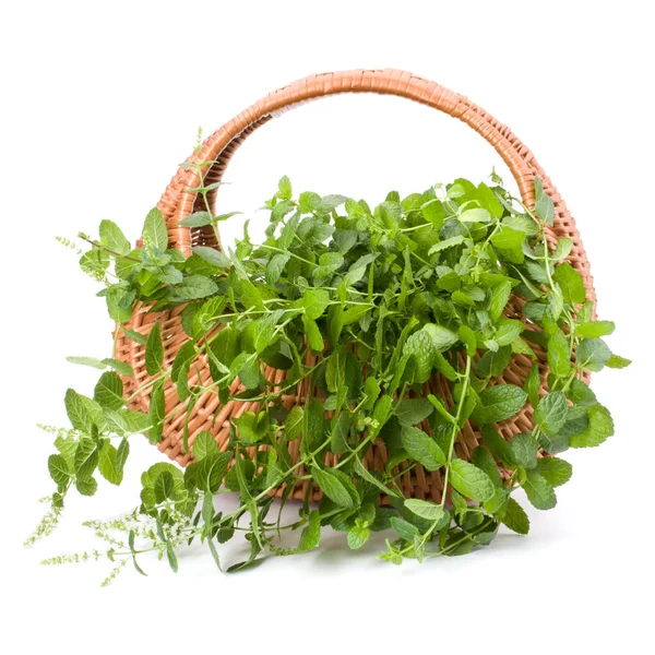 Panier Osier Avec Menthe Fraîche Isolé Sur Fond Blanc — Photo