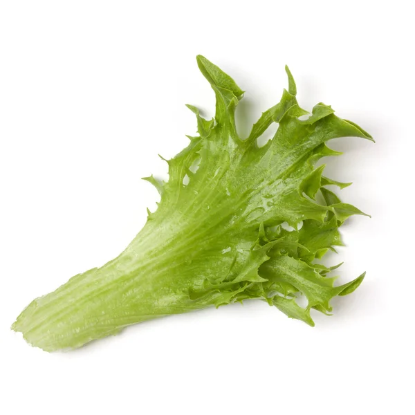 Verse Frillice Ijsberg Blad Salade Geïsoleerd Witte Achtergrond Bovenaanzicht Vlakke — Stockfoto