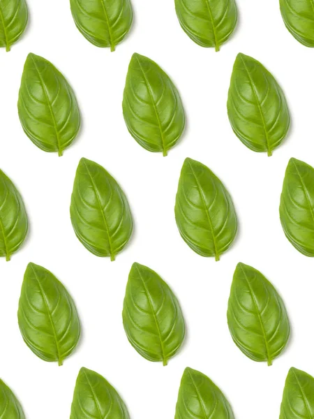 Sweet Basil Herb Leaves Isolated White Background Closeup Flat Lay Stock Picture