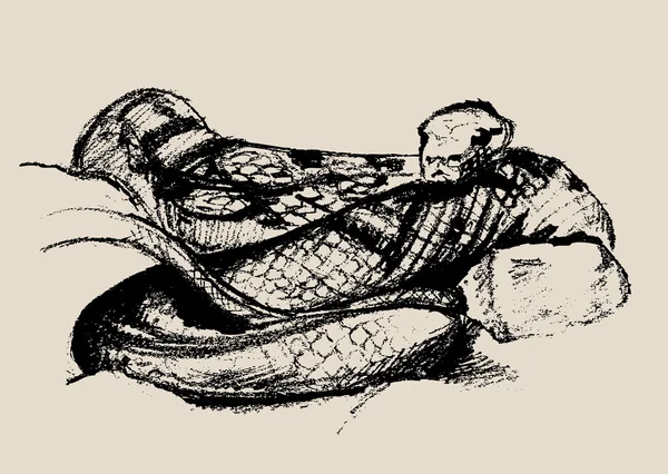 Snake Sketch, Krásná strašlivá plazí vektorová ilustrace — Stockový vektor
