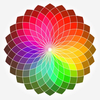 renkli çiçek tekerlek vektör