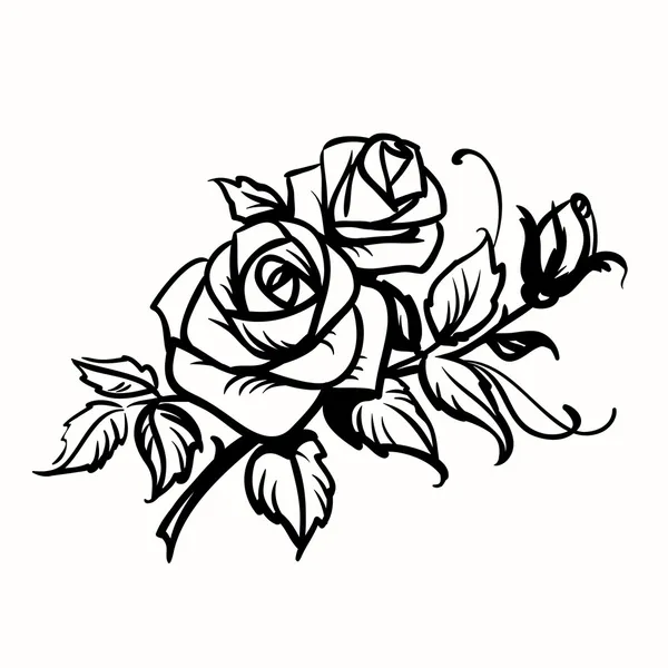 Rosas. Desenho de contorno preto no fundo branco —  Vetores de Stock