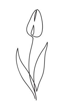 Güzel lale çiçeği. Çizgi sanatı konsepti. Devamlı çizgi çizimi. Şekil verilmiş çiçek sembolü. Vektör illüstrasyonu.