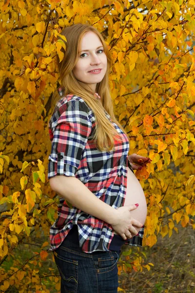 Mujer embarazada. — Foto de Stock