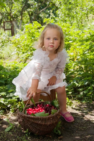 Meisje met mand van kersen — Stockfoto