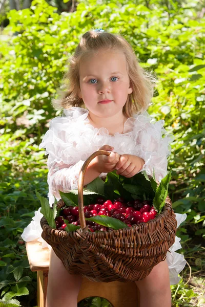 Girl with basket of cherries — Stock Photo, Image