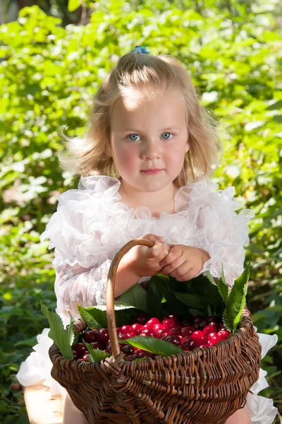 Fille avec panier de cerises — Photo