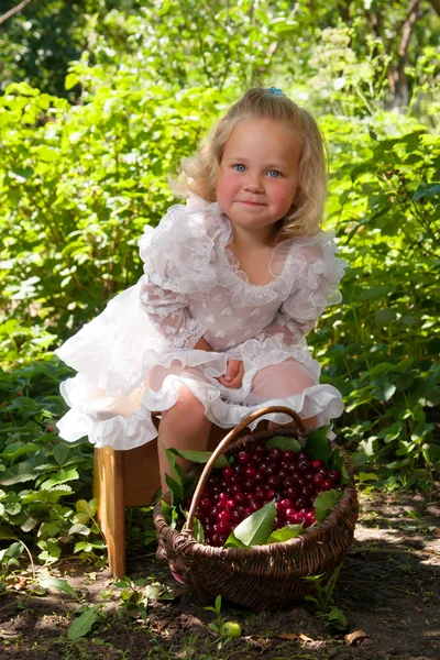 Girl with basket of cherries — Stock Photo, Image