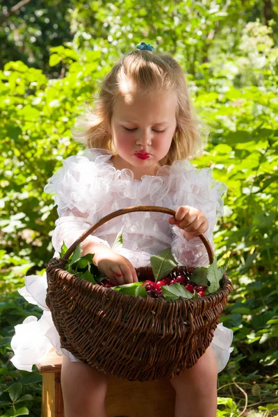 Chica con cesta de cerezas —  Fotos de Stock