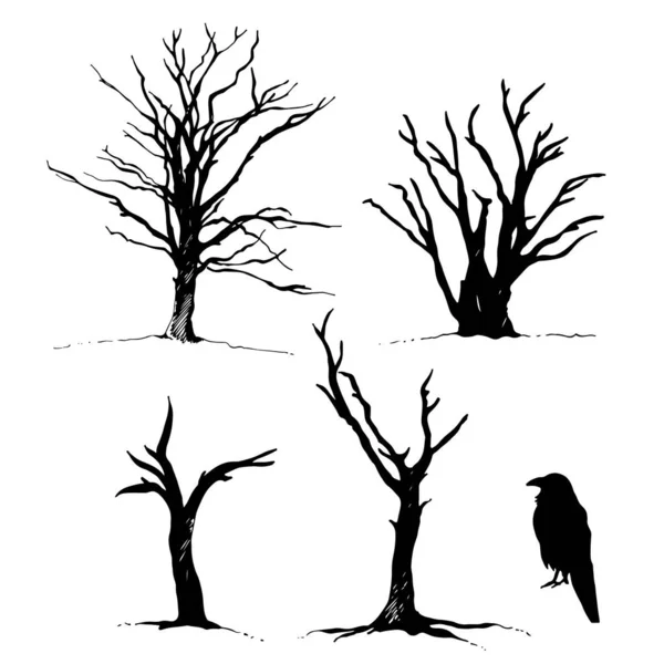 Sílhueta Corvo Árvore Pássaro Esboço Vetorial Desenhado Mão Isolado Fundo — Vetor de Stock