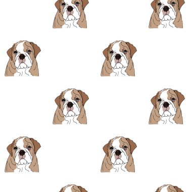 İngiliz Bulldog vektörü kusursuz desen, el çizimi arka plan ve köpek çizimi.