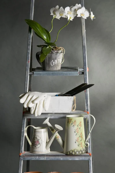 Ferramentas de jardinagem e flores em vasos. — Fotografia de Stock