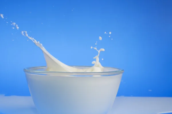 Milk splash close-up — Stock Photo, Image