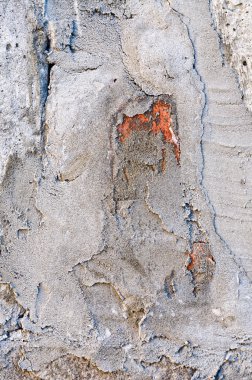 Çimento Beton duvar arka plan