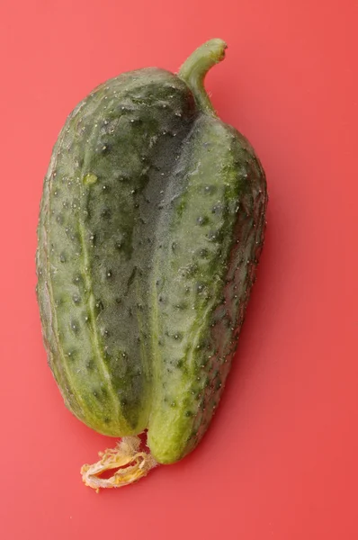 Double fresh cucumber over red background — Stock Photo, Image