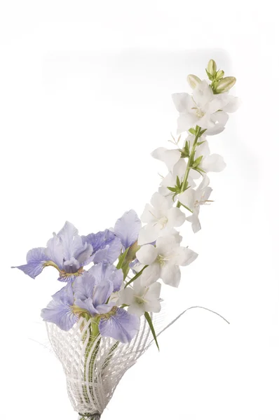 Bouquet di iris — Foto Stock