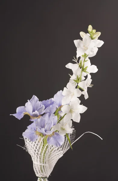 Iris bouquet — Stock Photo, Image