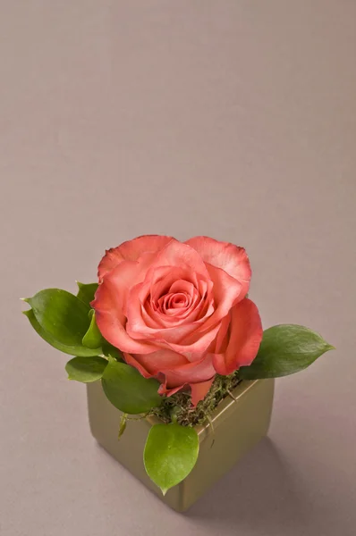 Růže květinové dekorace — Stock fotografie