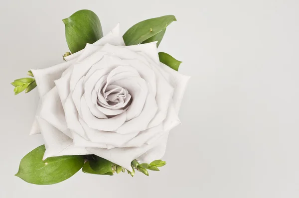 Růže květinové dekorace — Stock fotografie