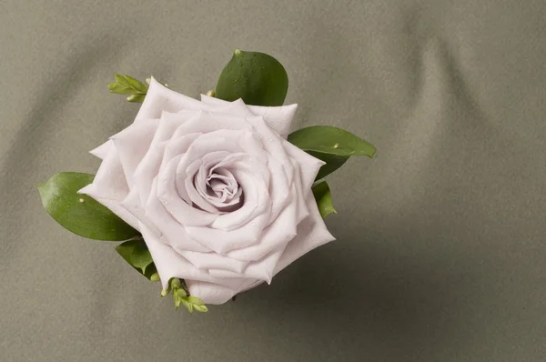 Rosenblütenschmuck — Stockfoto