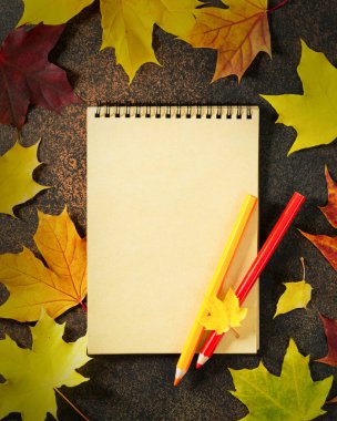 Boş bir defter, renkli kalemler ve kırmızı, sarı ve turuncu akçaağaç yapraklarıyla sonbahar arkaplanı. Konsept yakında okula ya da Şükran Günü 'ne geliyor.