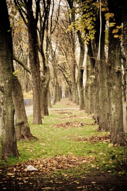 Sonbahar Parkı
