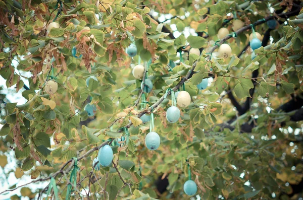Kolorowe liście na drzewie jesień — Zdjęcie stockowe