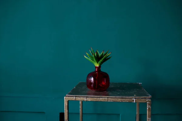 Minimalismus Rote Glasvase Mit Einer Grünen Blume Auf Dunkelblauem Hintergrund — Stockfoto